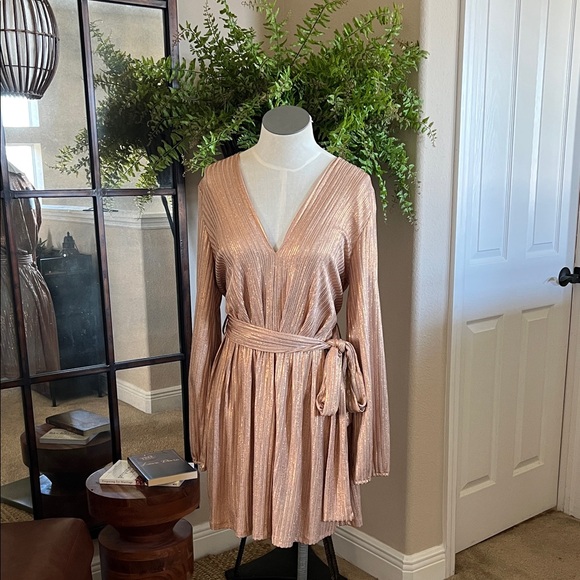 Dresses & Skirts - *BRAND NEW * Elegant Metallic Copper Long-Sleeve Dress